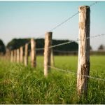Barbed Wire Fence vs High-Tensile Wire for a Ranch Which One Actually Fits the Job