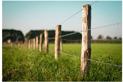 Barbed Wire Fence vs High-Tensile Wire for a Ranch Which One Actually Fits the Job